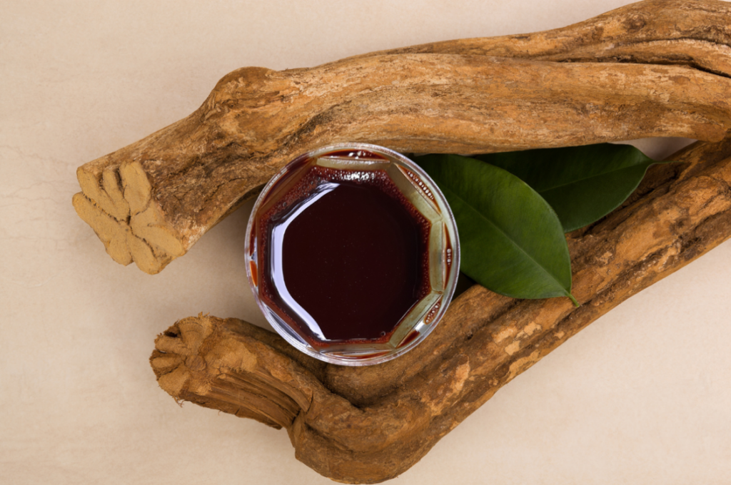 imagem informativa de ayahuasca em contexto cultural e tradicional